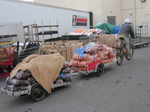 Michael Docter of Winter Moon Organic Farm in Hadley, MA delivering 1100 lb / 500 kg of beets and carrots to the local Whole Foods Market